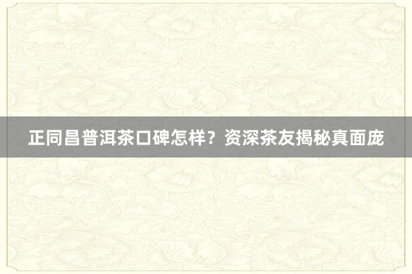 正同昌普洱茶口碑怎样？资深茶友揭秘真面庞